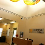 Sunflower11